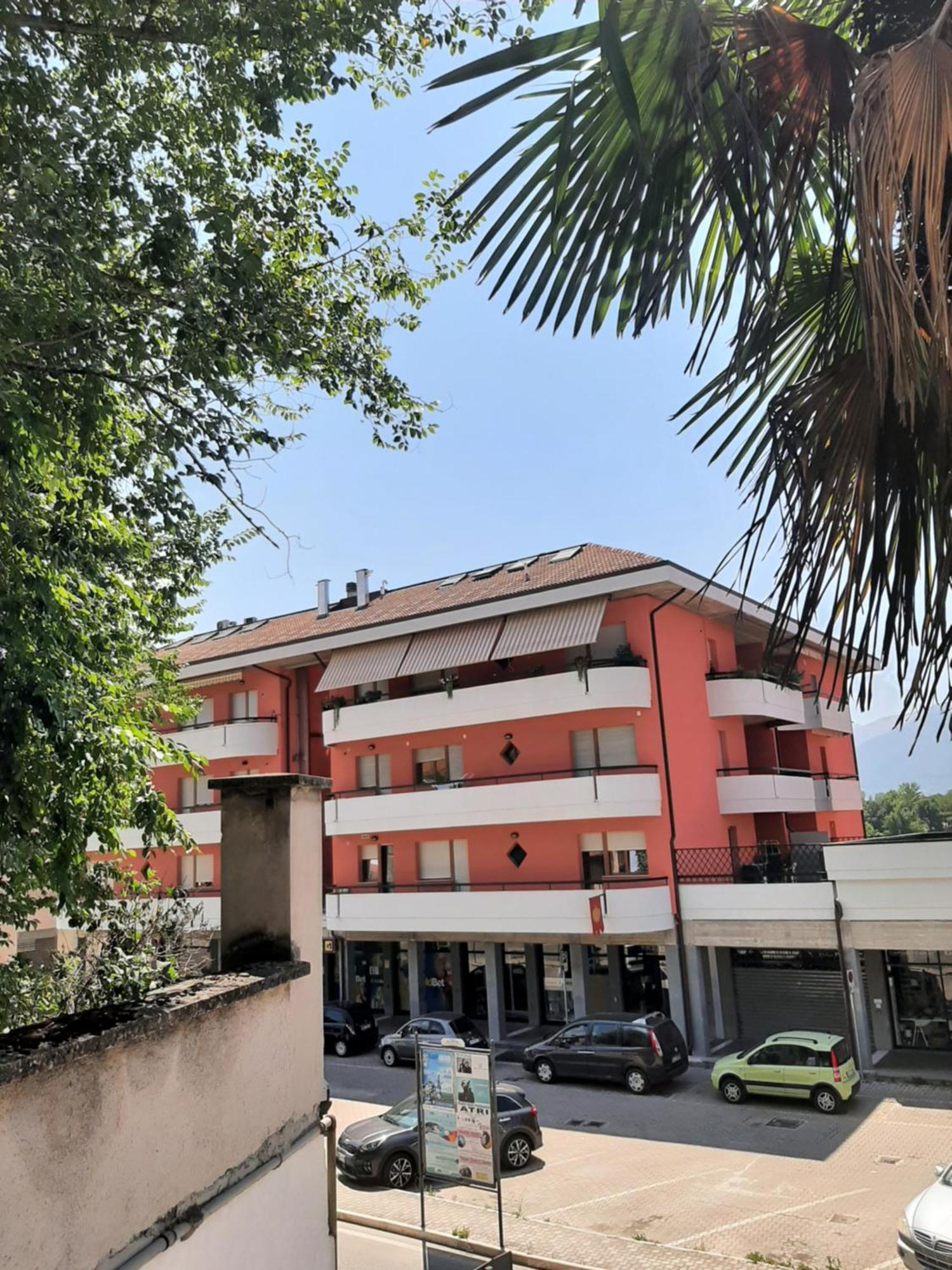 סולמונה Gufo Verde מראה חיצוני תמונה