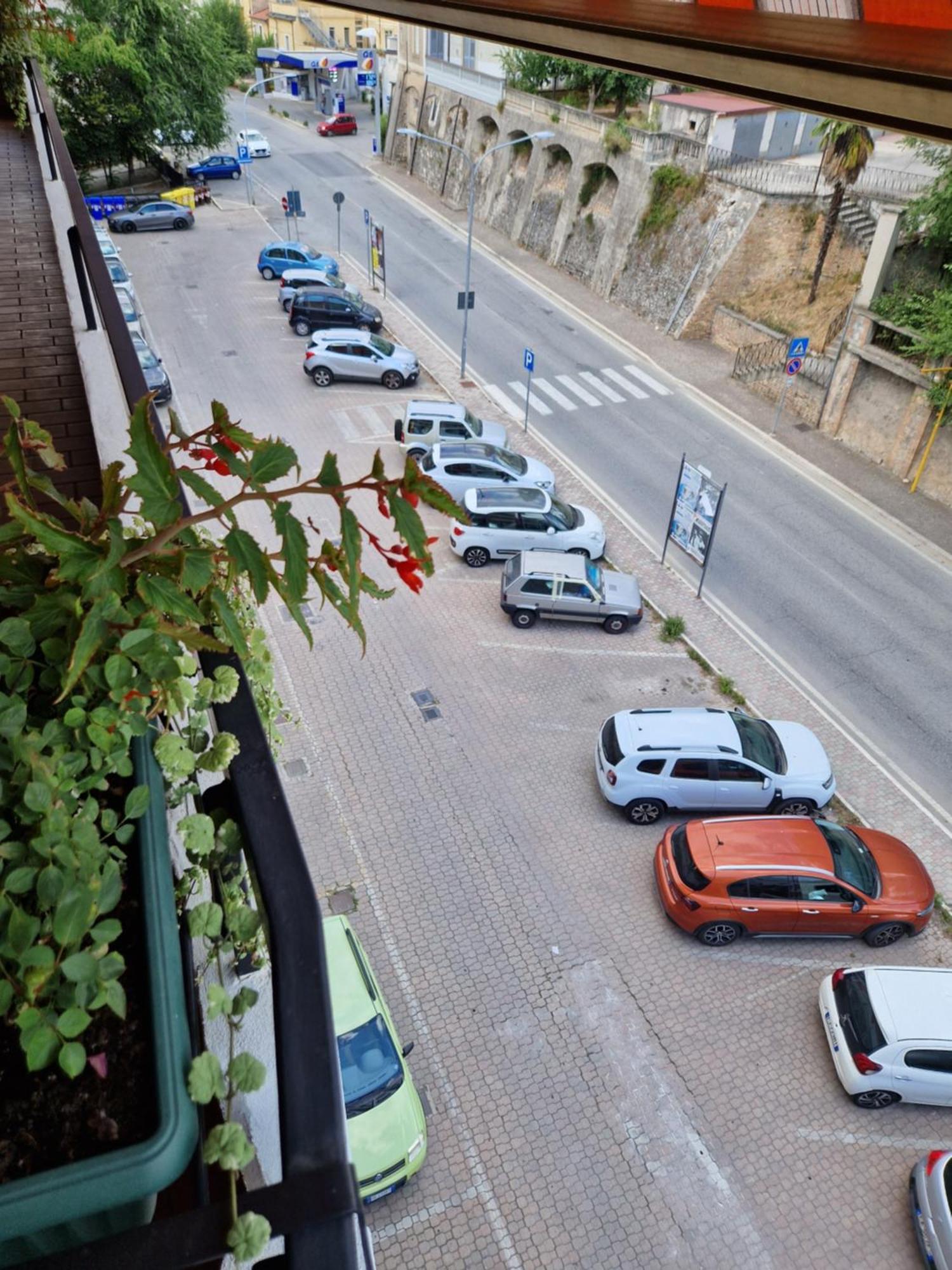 סולמונה Gufo Verde מראה חיצוני תמונה